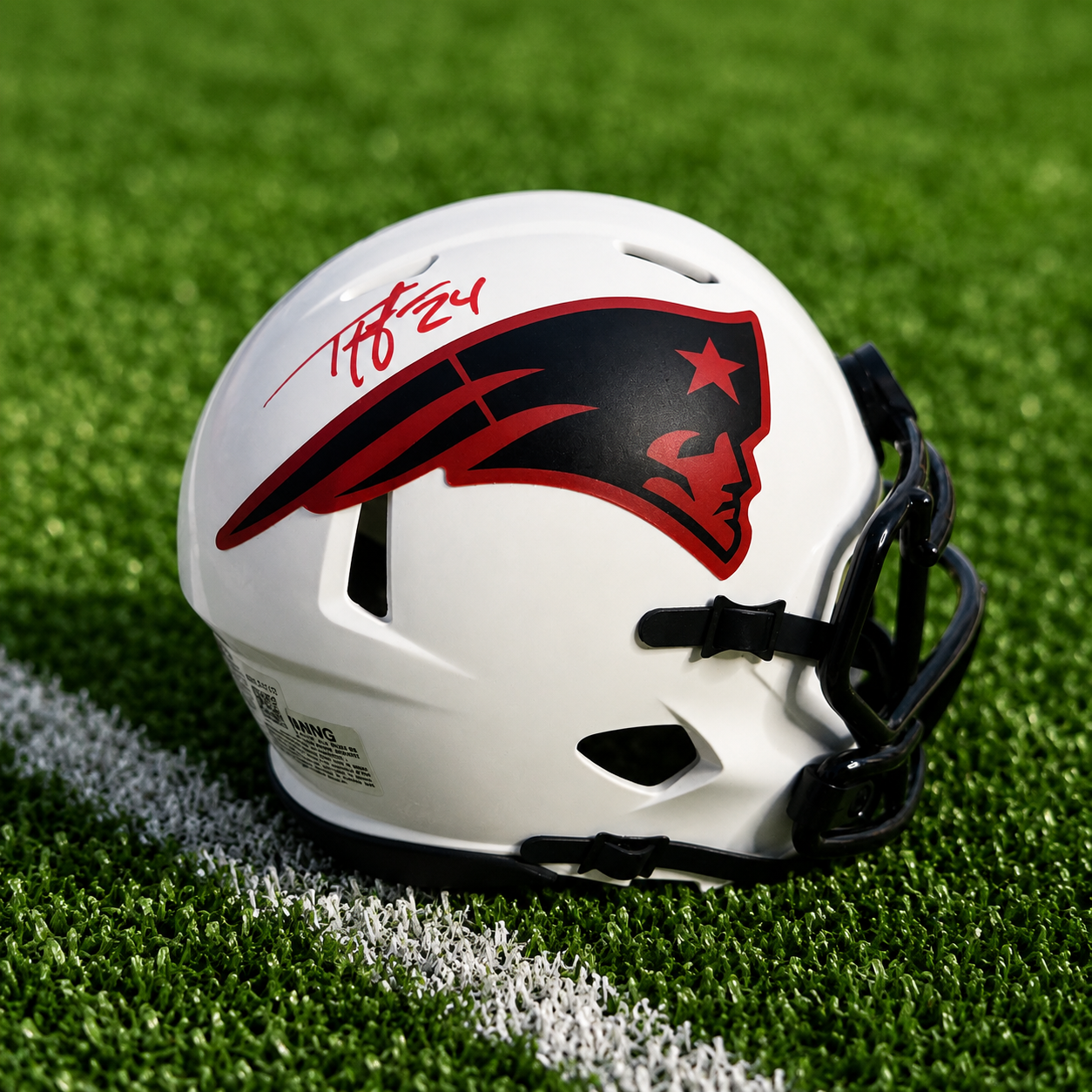 Ty Law Signed New England Patriots Lunar Mini