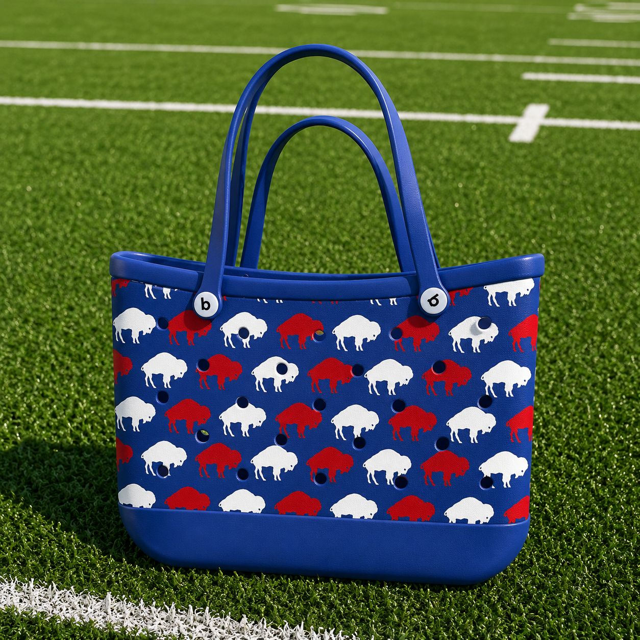 Standing Buffalo Bogg Beach Bag (Large)