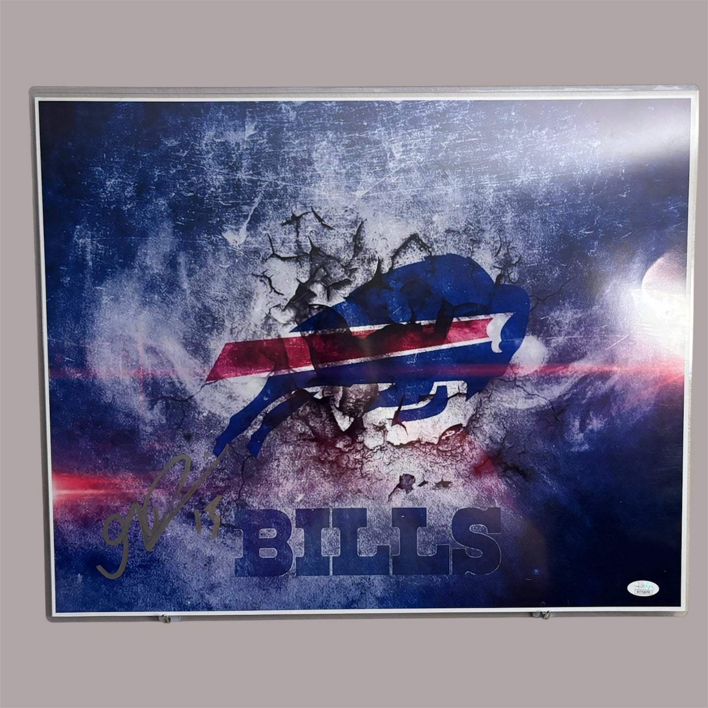 Gabe Davis Signed Buffalo Bills 16x20