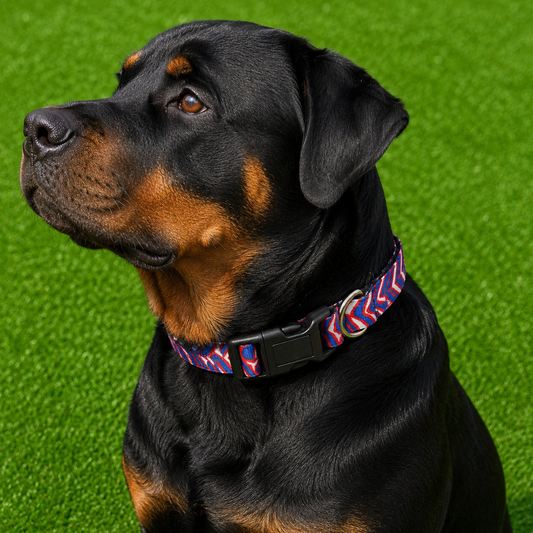 Buffalo Bills Zubaz Dog Collar