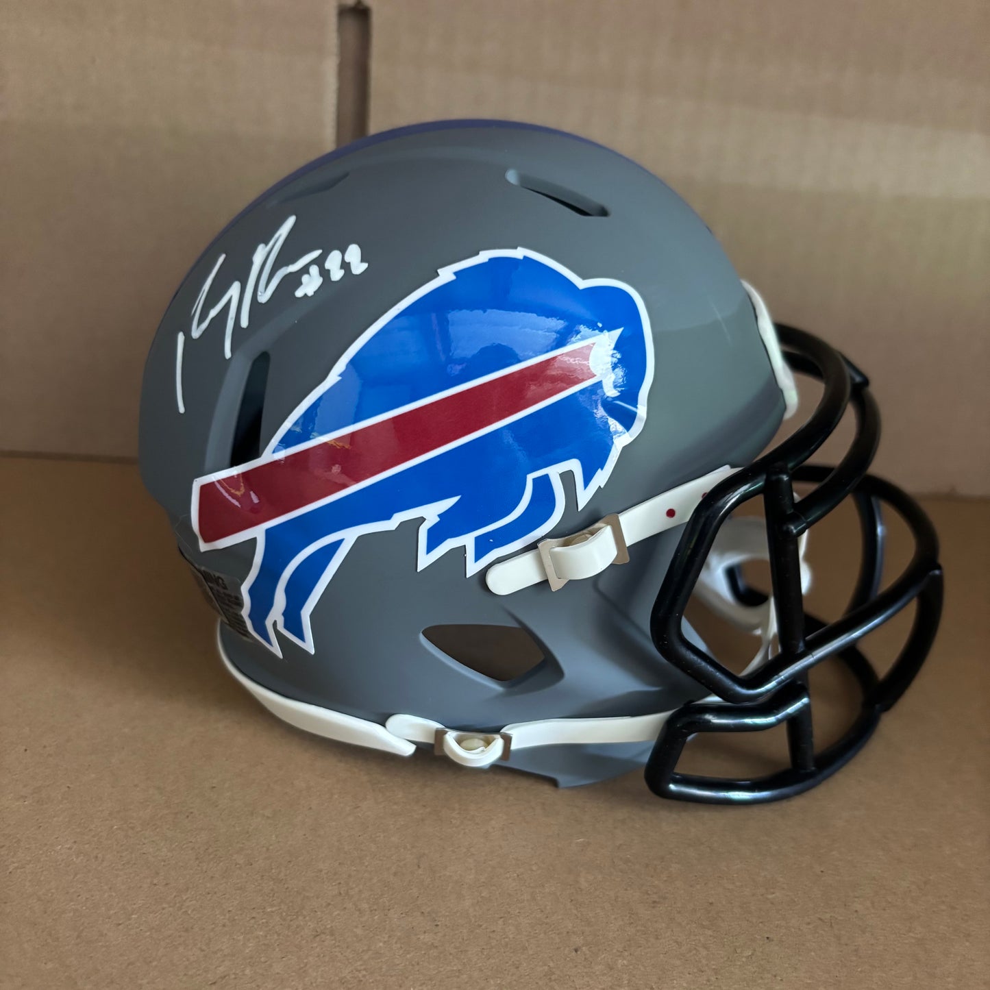 Ray Davis Matte Grey Bills Mini