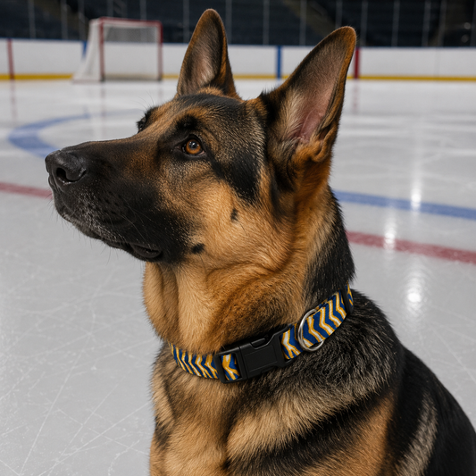 Buffalo Sabres Zubaz Dog Collar