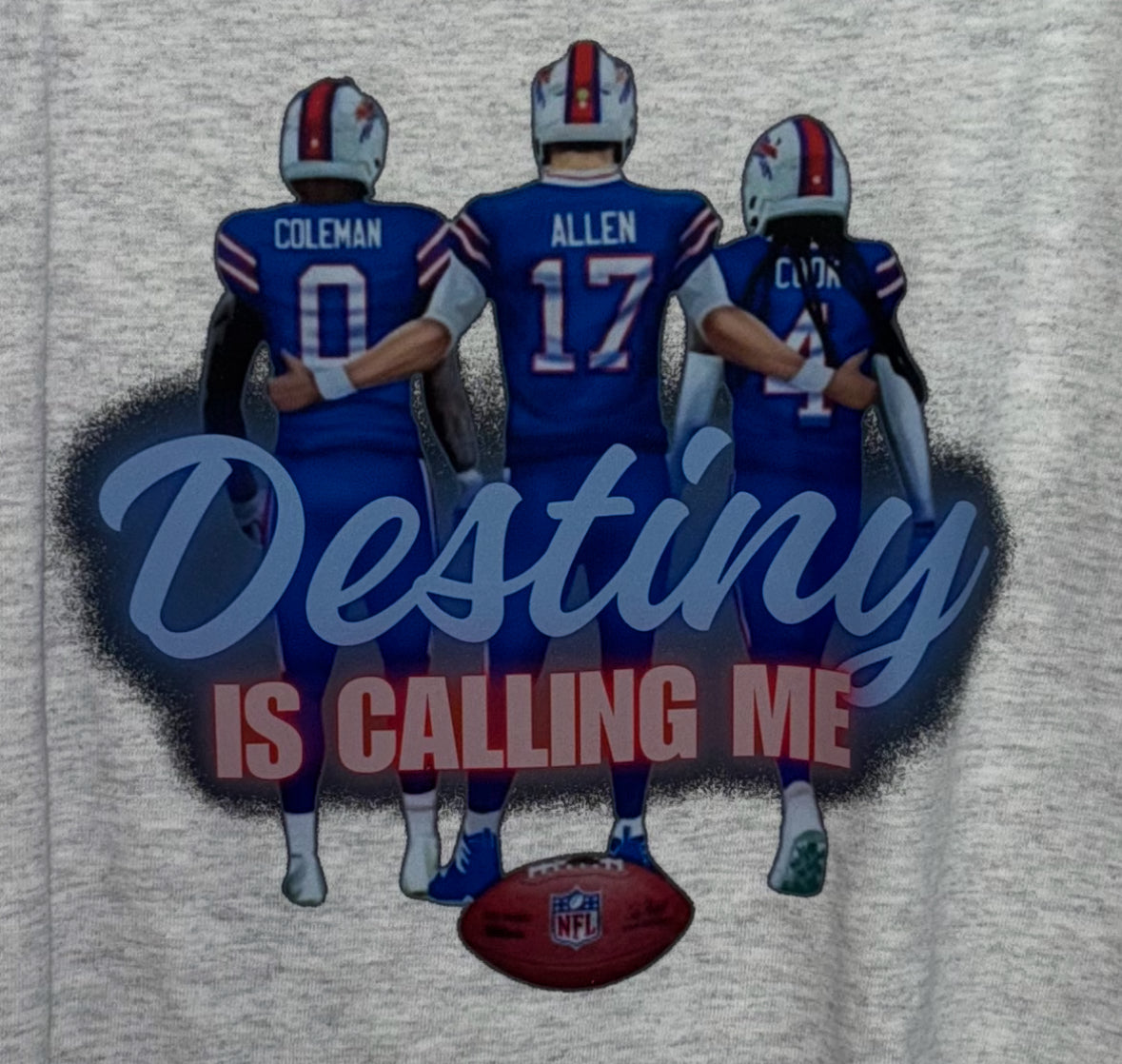 Destiny Is Calling Me! (Toddler)